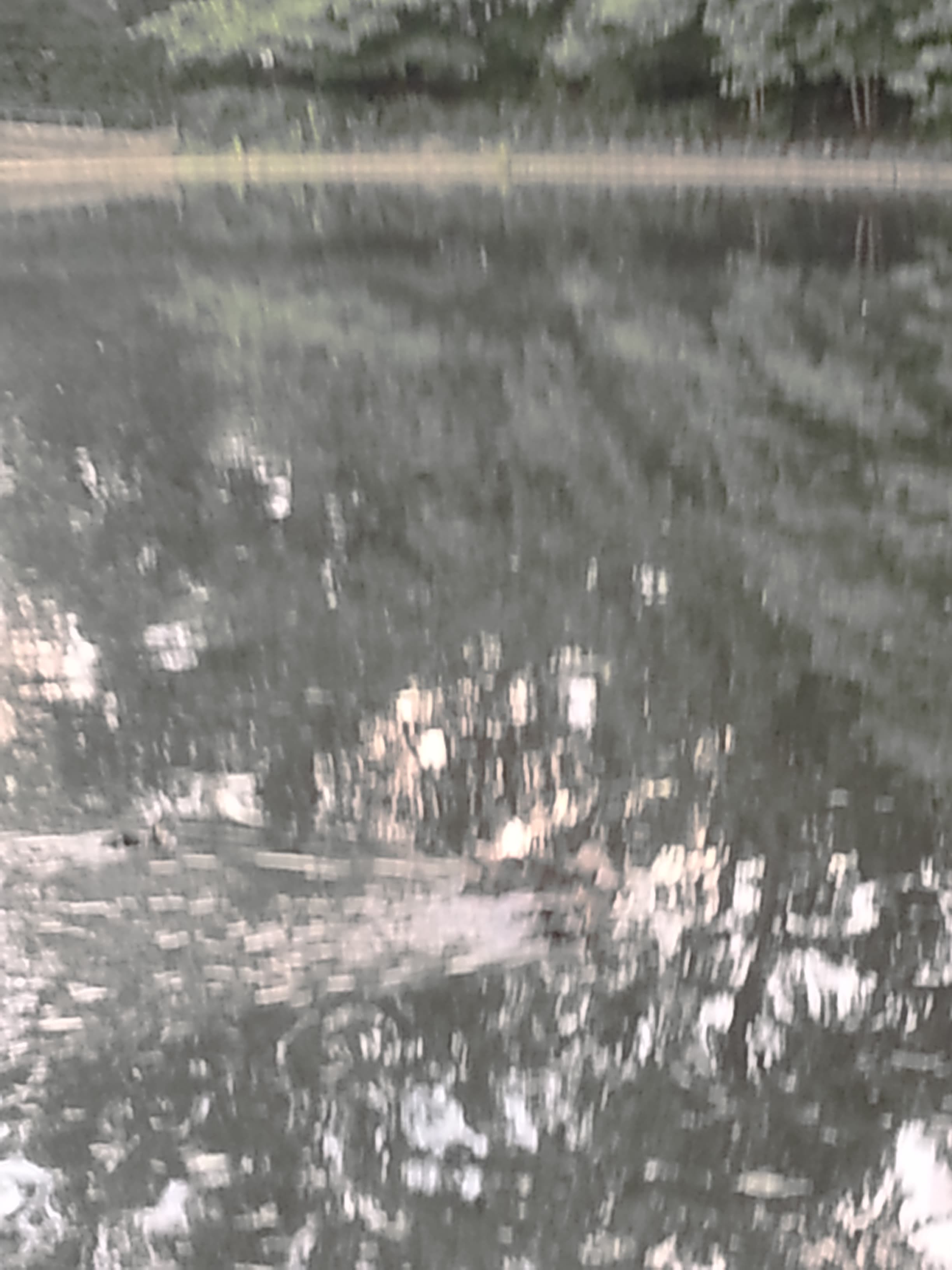 Wave Advisory project photo 1